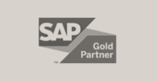 SAP Gold Partner-2