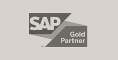 SAP Gold Partner-3