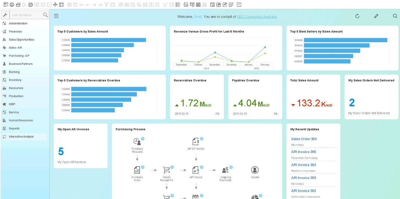 sap business one kpi