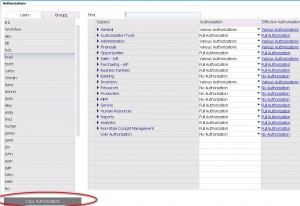 SAP Business One – Systems Admin Made Easy - Copy Authorisations