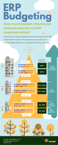 ERP Budgeting - How much does an ERP system cost?png