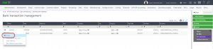 Preview matched bank transactions