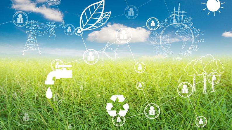 5 sustainability trends changing the future of wholesale distribution
