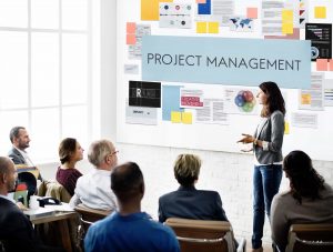 Project Management Organization Skill Concept