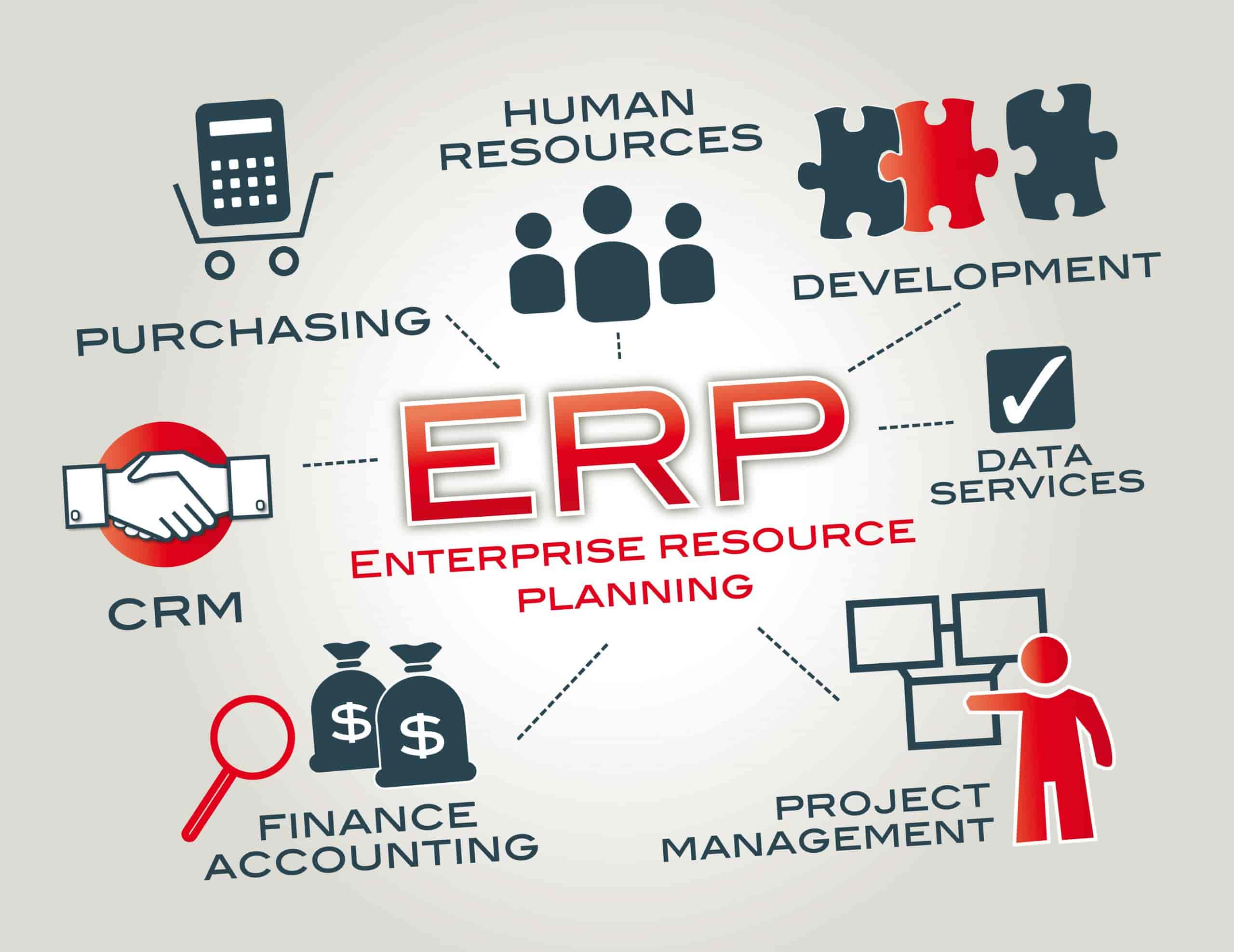 microsoft enterprise resource planning competency