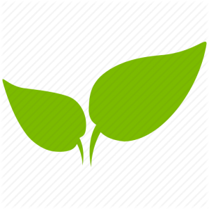 agricultural erp