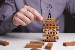 ERP software Services