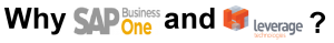 Why SAP Business One and Leverage Technologies-01