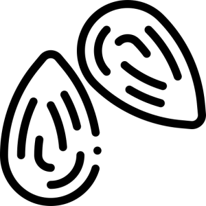almond icon