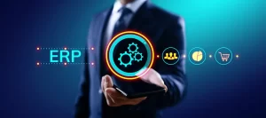 ERP optimisation services