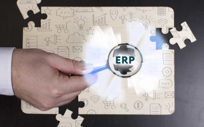 What’s the best ERP strategy for subsidiaries of multinational companies?