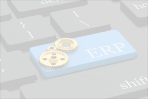 ERP Support Services