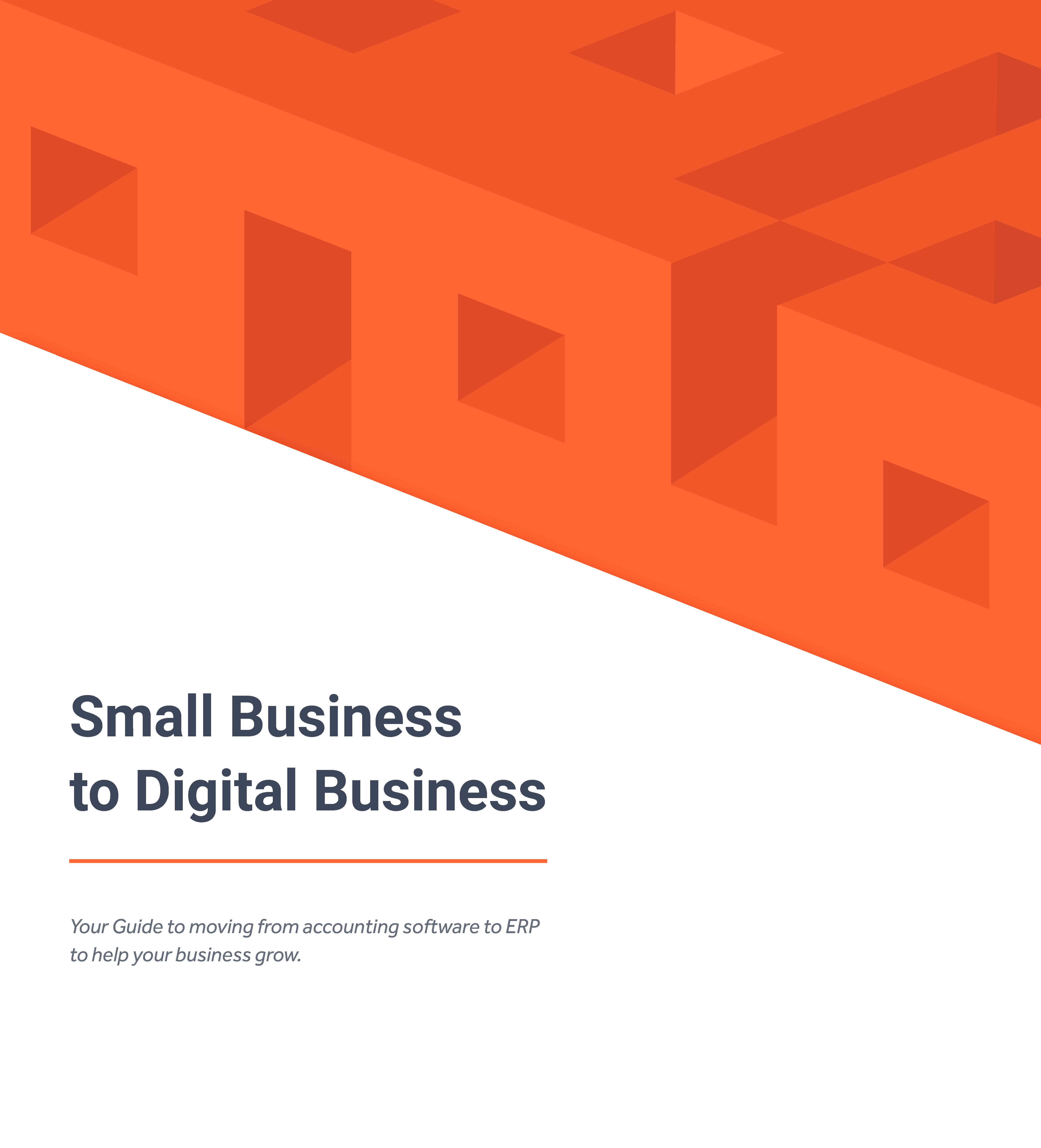 Small Business to Digital Business ebook