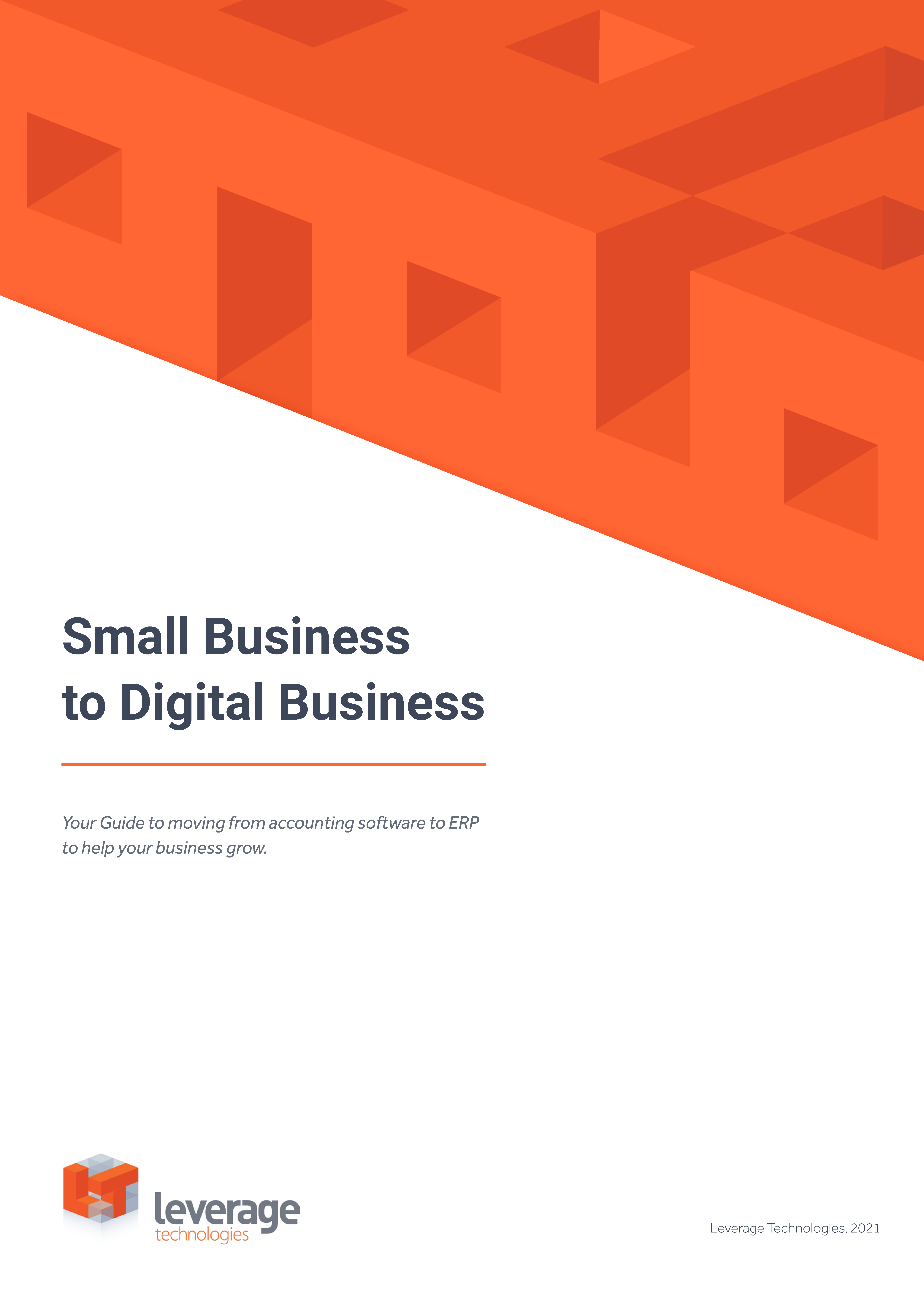 Small Business to Digital Business