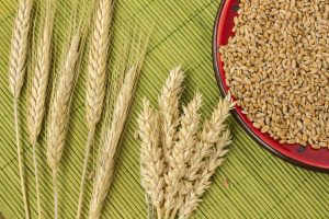 Food ERP Solution Whitepaper