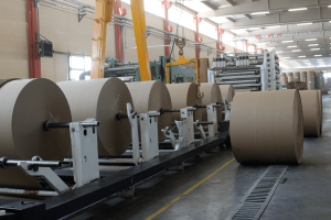 SAP S/4HANA Public Cloud for Mill Products