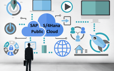 What is SAP S/4HANA Public Cloud?