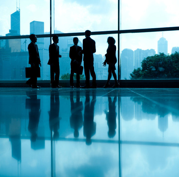 Fixed Price ERP Implementation