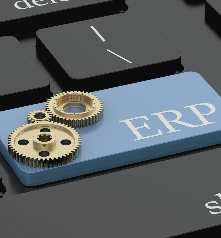 ERP support services