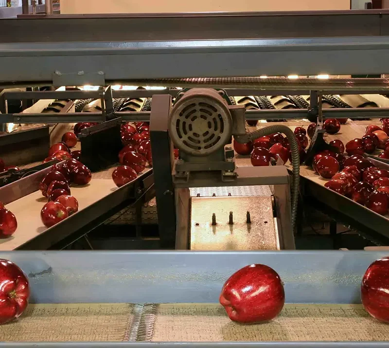 erp software for food processing industry|ERP for the Food Industry