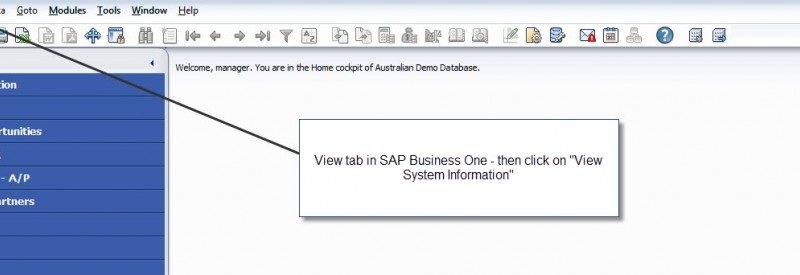 report writing for SAP Business One