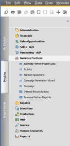 SAP Business One Version 9