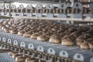 Food Processing ERP Software solution Sage X3