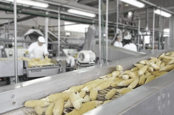 Whats the ideal ERP Software for process manufacturing companies