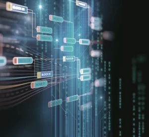 ERP software Consulting