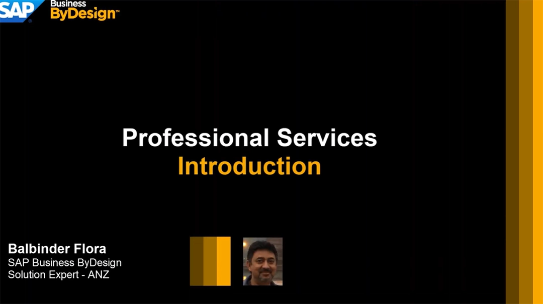 Professional Services-Project Management