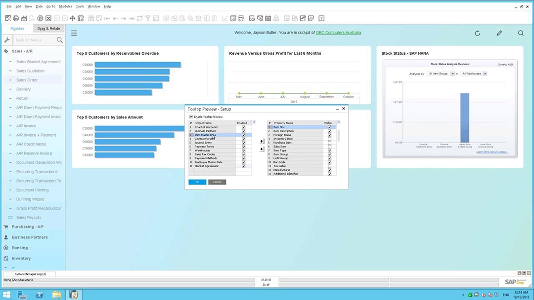 SAP B1 version 9.2 tooltips