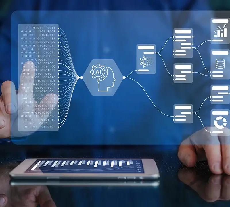 Evolving Role of the CFO