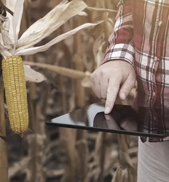 ERP Solution for agricultural companies